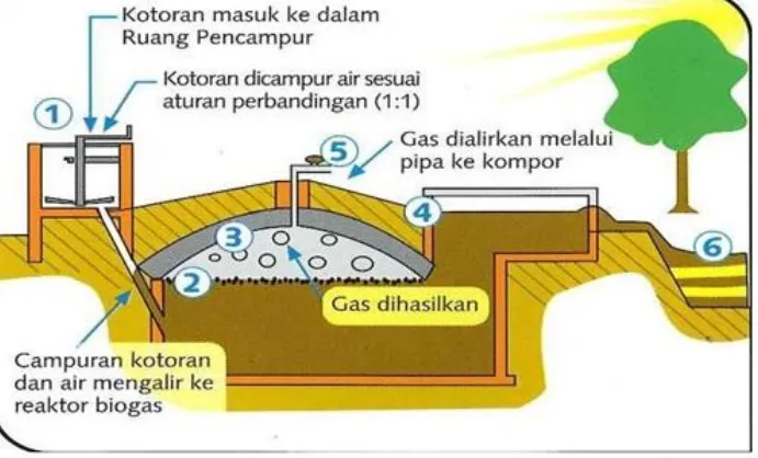 Gambar  10. Skema pembuatan biogasSumber :http://images04.olx.co.id/ui/4/43/92/70214192_1-DIGESTER-REAKTOR-BIOGAS-BISNIS.jpg