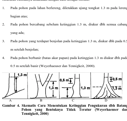 Gambar 4. Skematis Cara Menentukan Ketinggian Pengukuran dbh Batang Pohon yang Bentuknya Tidak Teratur (Weyerhaeuser dan 