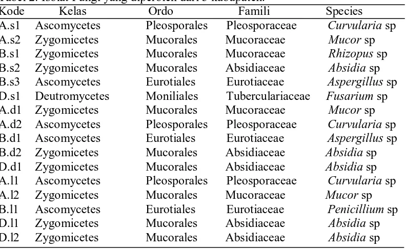 Tabel 2. Isolat Fungi yang diperoleh dari 3 kabupaten. Kode           Kelas                    Ordo                     Famili                  Species 