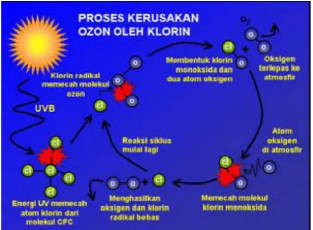 Gambar 2. Proses Perusakan lapisan ozon 