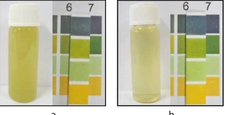 Gambar 1 Seduhan (a) daun jarak pagar dengan warna hijau muda keruh dengan pH  antara 6 – 7, dan (b) buah jarak pagar dengan warna hijau muda dengan pH  antara 6 – 7 
