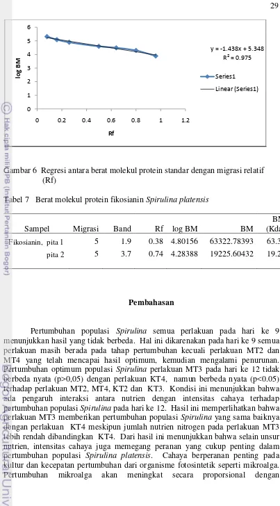 Gambar 6  Regresi antara berat molekul protein standar dengan migrasi relatif  