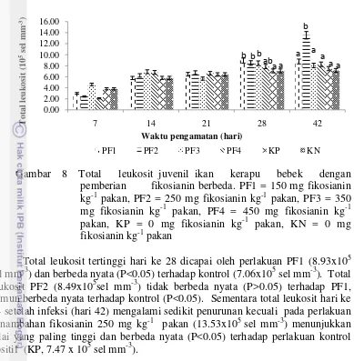 Gambar  8  Total   leukosit juvenil ikan   kerapu   bebek   dengan     
