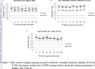 Gambar 7 Efek anestesi jangka panjang propofol-isoflurane terhadap ketebalan dinding (IVS dan 