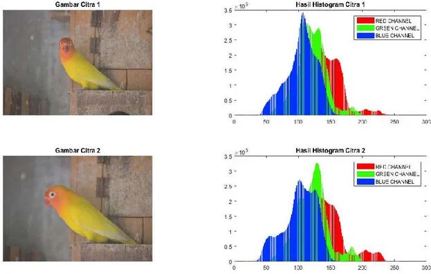 Gambar 2. Hasil identifikasi citra lovebird lutino posisi kepala berbeda 