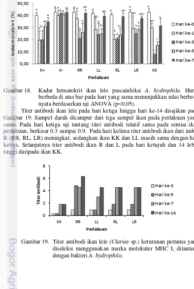 Gambar 18.  Kadar hematokrit ikan lele pascainfeksi  A. hydrophila. Huruf 