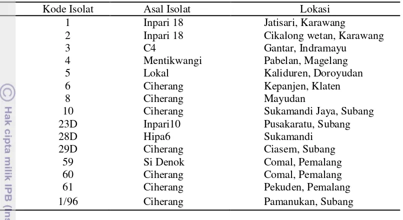 Tabel 1  Isolat Xanthomonas oryzae pv. oryzae dari beberapa wilayah di Indonesia 