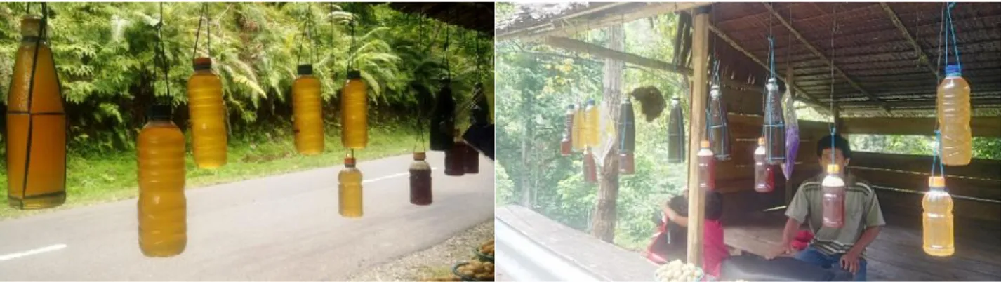 Gambar 1. Foto produk madu hutan Battang sebelum dilakukan program IbM Permasalahan Mitra