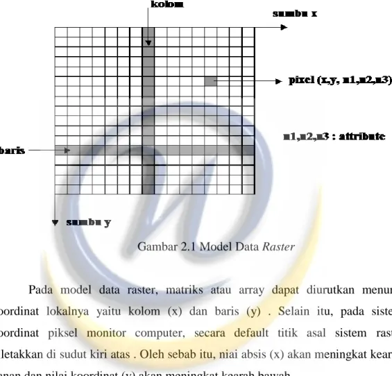 Gambar 2.1 Model Data Raster  