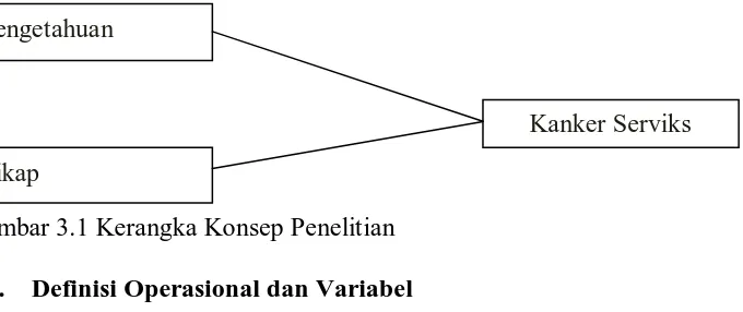 Gambar 3.1 Kerangka Konsep Penelitian  3.2.    Definisi Operasional dan Variabel 