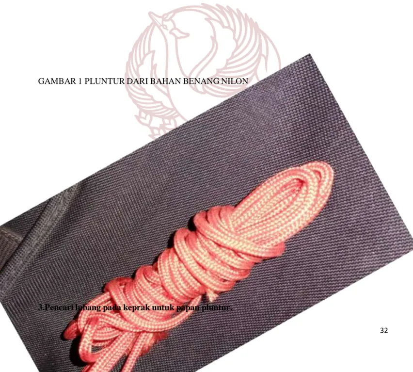 GAMBAR 1 PLUNTUR DARI BAHAN BENANG NILON 