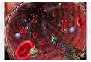 Gambar 1.1 Plasma darah 