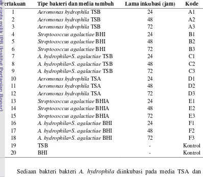 Tabel 3   Perlakuan infeksi LD100   