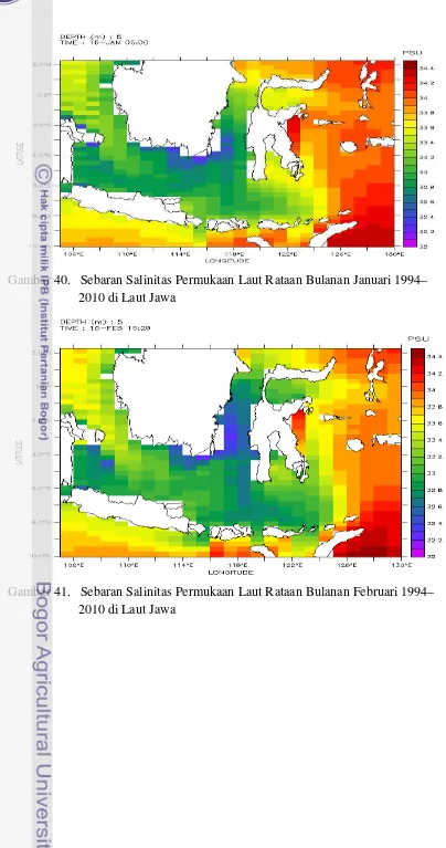 Gambar 40.   Sebaran Salinitas Permukaan Laut Rataan Bulanan Januari 1994–