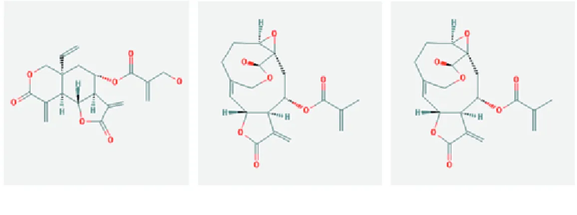 Gambar 1. (a) Struktur kimia vernodalin, (b) Struktur kimia vernolide, (c) Struktur kimia  11, 13-dihydrovernolidalin