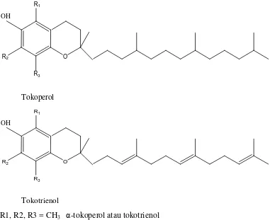 Gambar 2.1. Struktur Vitamin E dalam bentuk Tokoperol dan Tokotrienol 