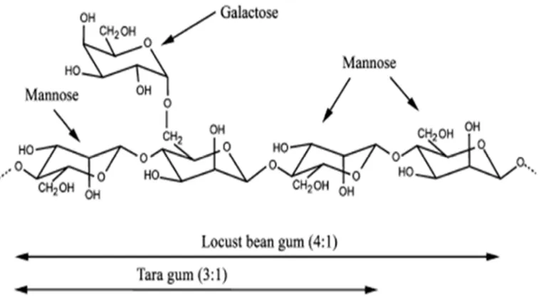 Gambar 2.2. Struktur Umum Gaktomanan (Cerqueira et al., 2009a). 