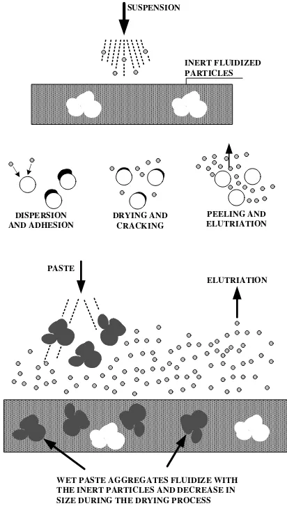Gambar 5. Mekanisme pengeringan umpan larutan dan umpan pasta 