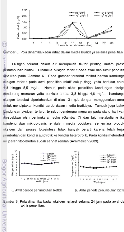 Gambar 5. Pola dinamika kadar nitrat dalam media budidaya selama penelitian 
