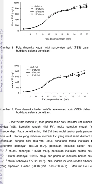 Gambar 8. Pola dinamika kadar  total suspended solid (TSS) dalam media 