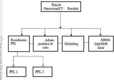 Gambar 8. Struktur organisasi CV. Barokah 