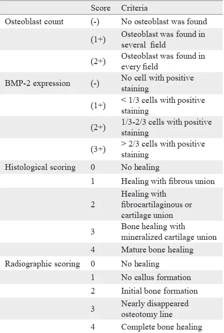 Table 1. Evaluation criteria of osteoblast count, BMP-2 expression, histological and radiographic score
