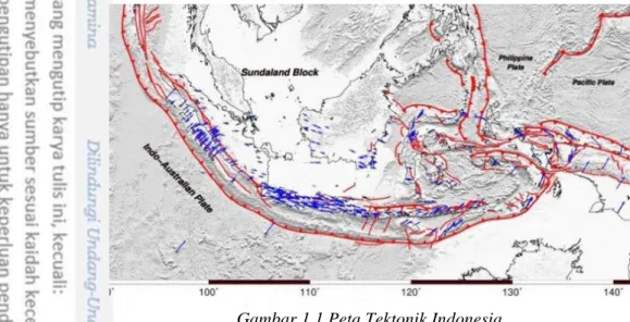 Gambar 1.1 Peta Tektonik Indonesia 
