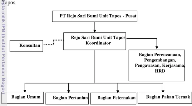 Gambar 5 Struktur Organisasi PT. Rejo Sari Bumi Unit Tapos  Sumber: PT Rejo Sari Bumi Unit Tapos (2013) 