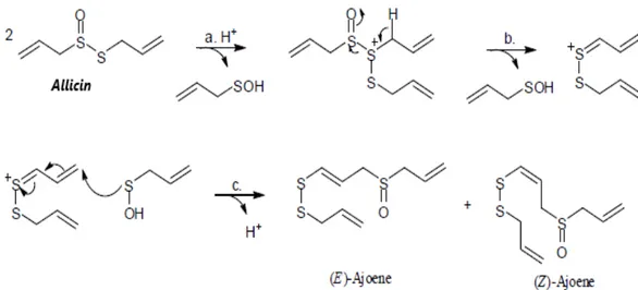 Gambar 1.  Degradasi  Allicin menjadi E- dan Z- Ajoene