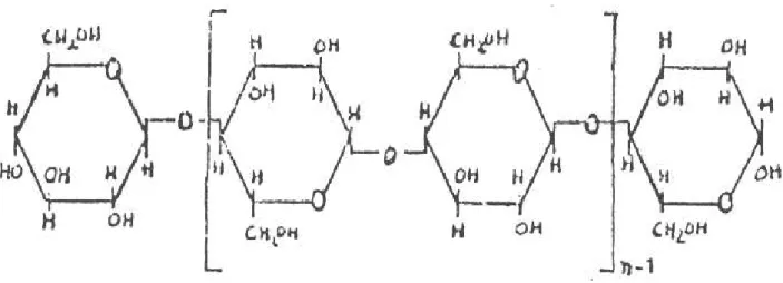 Gambar 1. Struktur Molekul Serat Kapas. 