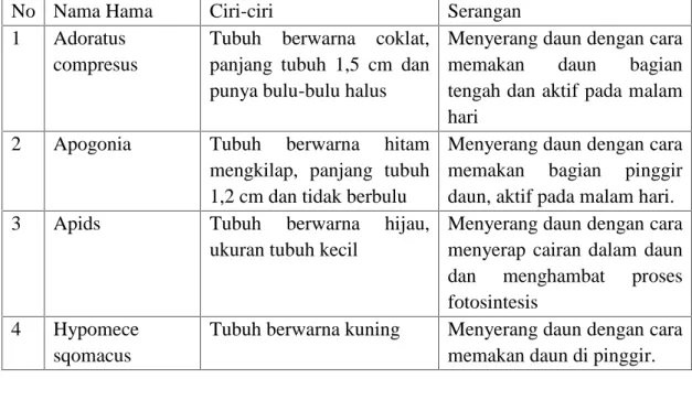 Tabel 2. Nama-nama hama pada pembibitan kelapa sawit.