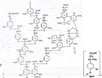 Gambar 2. Bagian Struktur Polimer Lignin [19] dan Monomernya 