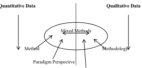 Figure 3.1 Creswell’s Process of mixing mixed data (2010) 