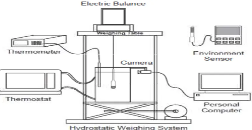 Gambar 1 Skema sistem penimbangan hidrostatik. 