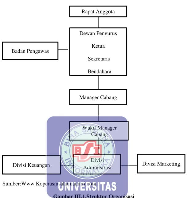 Gambar III.1.Struktur Organisasi   KSP Usaha Mandiri 