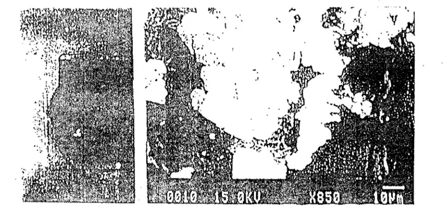 Gambar 2a merupakan hasil pemotretan spesimen sayatan tipis BM 169. Setelah proses radioluxugraf selama 6 jam, jelas terlihat bahwa mineral radioaktif