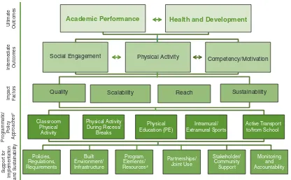 FIGURE 1-4 Conceptual framework for physical activity and physical education in the school environment