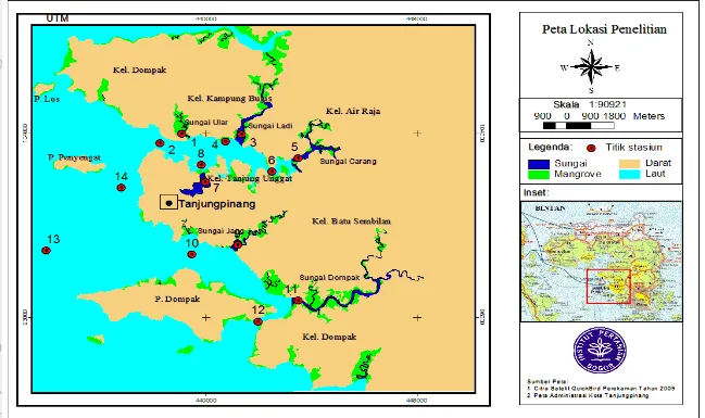 Gambar 5. Lokasi Penelitian Model Dinamika Fluks Nitrogen dan Kaitannya dengan Ekosistem Mangrove di Perairan Pesisir Kota Tanjungpinang