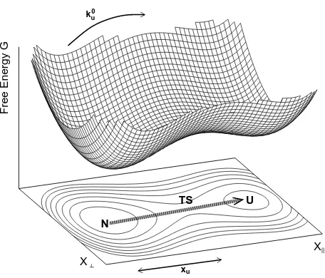 FIG. 1: The free energy surface of a two-state system, withnative (N) and unfolded (U) minima