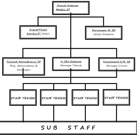 Gambar 3.1 Struktur Organisasi Perusahaan CV. ARYA PUTRA MANDIRI 