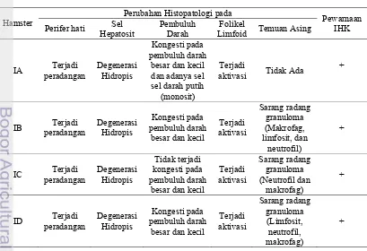 Tabel 2 Perubahan Histopatologi dan Pewarnaan Imunohistokimia pada Hati 