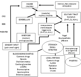 Gambar 2. 1. Diagram farmakologi stimulus mual dan muntah. 