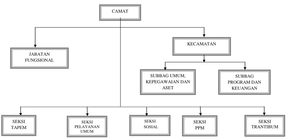 Gambar 2.1 Struktur Organisasi Kecamatan Cisitu  Sumber :  Kecamatan Cisitu Kabupaten Sumedang Tahun 2017 