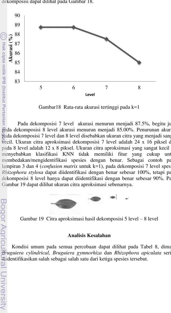Gambar 19  Citra aproksimasi hasil dekomposisi 5 level  – 8 level    