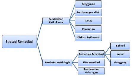 Gambar 1. Klasifikasi strategi remediasi logam berat (Ullah et al., 2015) 