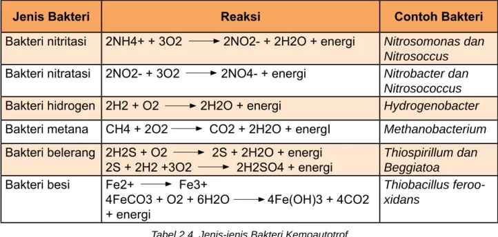 Tabel 2.4. Jenis-jenis Bakteri Kemoautotrof
