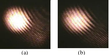 Gambar 2 Pola frinji untuk Kaca Preparat (a)  tanpa  medan magnet luar  (b) pada medan magnet 184,95 mT 