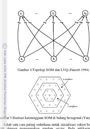 Gambar 4 Topologi SOM dan LVQ (Fausett 1994)  