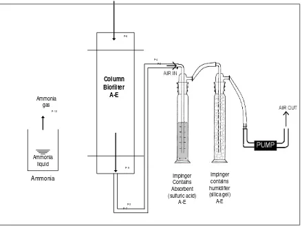 Figure 1. Scheme of laboratory scale for biofiltration system 