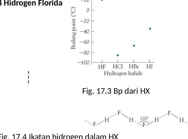 Fig. 17.4 Ikatan hidrogen dalam HX
